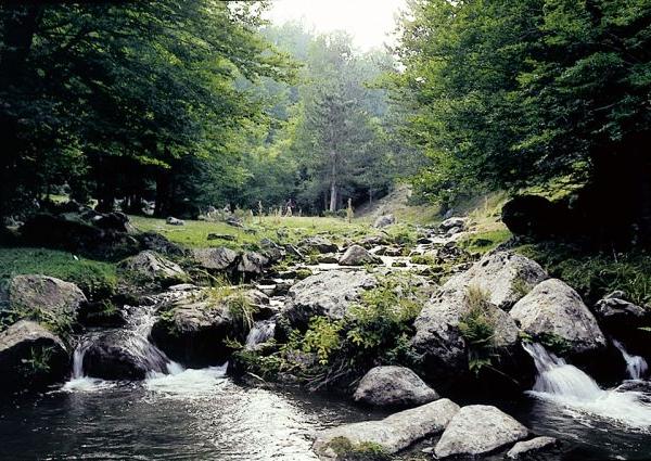 RICOLFI: LA TRAGEDIA DEL RAGANELLO E LA NORVEGIA