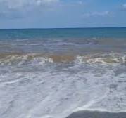 Se lo dice Pallaria…: 100 milioni e il mare torna blu